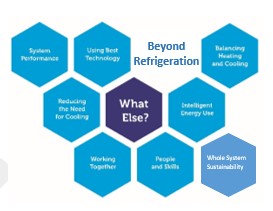 beyondrefupdated2022